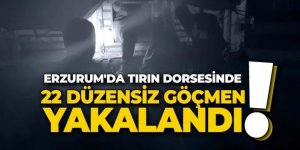 Erzurum'da TIR dorsesinde yakalandılar