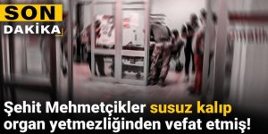 Şehit Mehmetçikler susuz kalıp organ yetmezliğinden vefat etmiş!