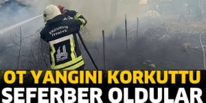 Hınıs'ta ot yangını