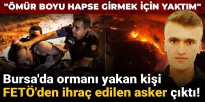 Bursa'daki orman yangınında sabotaj şüphesi!