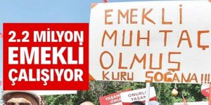 2.2 milyon emekli çalışıyor