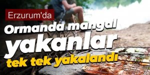 Erzurum'da mangal 2 kişi yakalandı: 5 bin 906 lira para cezası