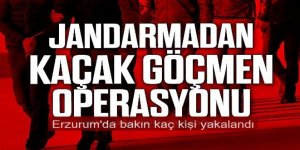 Erzurum'da Afgan’ı Suriyelisi… 24 göçmen yakalandı