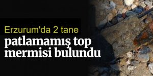 Erzurum'da Peyzaj çalışmasında 2 top mermisi bulundu