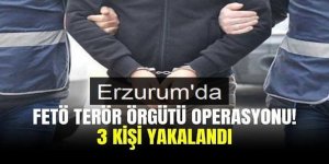Erzurum'da FETÖ terör örgütüne darbe: 3 kişi yakalandı