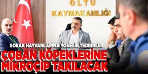 Erzurum'da Çoban köpeklerine mikroçip takılacak