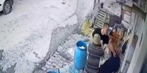 İnfial yaratan görüntü! Tepki yağıyor