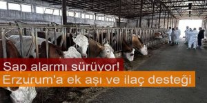Erzurum'a ek aşı ve ilaç desteği