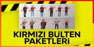 Gürcistan polisi ile ortak operasyon! 14 suçlu yakalandı