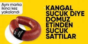 Aynı marka yine domuz eti!