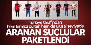 Bakan Yerlikaya 'bizden kaçamayacaklar' diyerek duyurdu: Türkiye'ye getirildiler