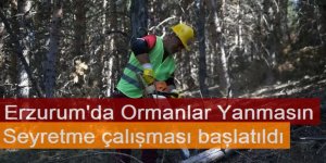 Erzurum'da Ormanlarda yanıcı madde yükü azaltılması için çalışma başlatıldı