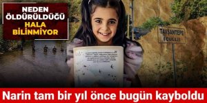 Narin tam bir yıl önce bugün kayboldu! Neden öldürüldüğü hala bilinmiyor