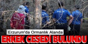 Erzurum’da Ormanlık Alanda Ceset Bulundu