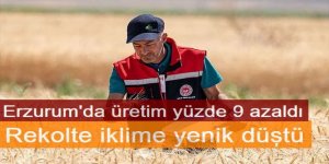 Erzurum'da Rekolte iklime yenik düştü