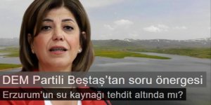 DEM Partili Beştaş’tan soru önergesi: Sorunumuz su