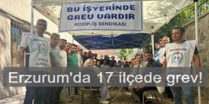 Erzurum'da 17 ilçede grev!