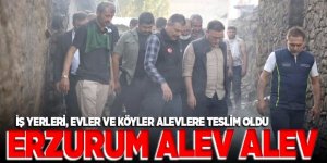 Vali Çiftçi yangın bölgesinde: 20 ev ahır yandı
