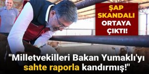 Şap skandalı ortaya çıktı: "Bakan Yumaklı sahte raporla kandırıldı"