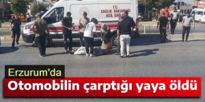Erzurum'da Otomobilin çarptığı yaya öldü