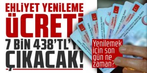 Bu haber ehliyet sahibi olan herkesi ilgilendiriyor