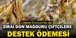 Zirai don mağduru çiftçilere 21 milyar TL: Listede Erzurum'da var