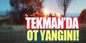 Tekman'da Ot yangınında 2 bin 500 balya kül oldu