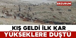 Erzurum'un yüksek kesimlere kar yağdı