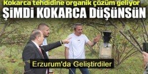 Erzurum geliştirdi, Vakfıkebir uyguladı: