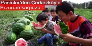 Pasinler’den Çerkezköy’e Erzurum karpuzu