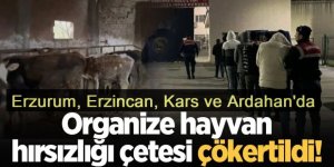 Erzurum ve 3 ilde 20 milyon TL’lik nitelikli dolandırıcılık operasyonu