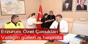 Erzurum Valiliğinin gülleri iş başında