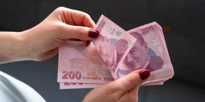 'Sadece e-Devlet'e girmeleri gerekiyor'