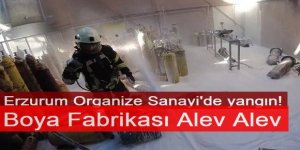Erzurum Organize Sanayi'de yangın!