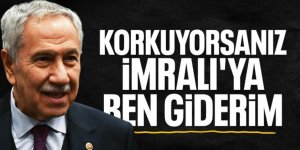 Arınç: Gerekirse İmralı’ya ben gider Öcalan’la görüşürüm