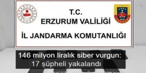 Erzurum'da 146 milyon liralık siber vurgun
