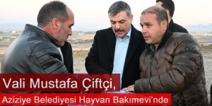 Vali Mustafa Çiftçi, Aziziye Belediyesi Hayvan Bakımevi’nde İncelemelerde Bulundu