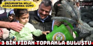 Erzurum’da 3 bin fidan toprakla buluştu