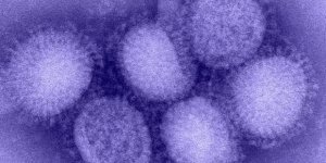 Kuzey Yarımküre'de 'H3N2' alarmı!