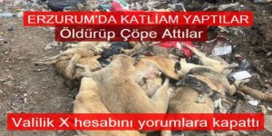 Erzurum'daki vahşet Türkiye'yi ayağa kaldırdı