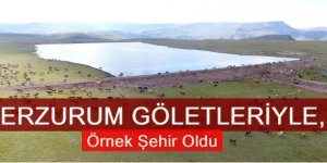 Erzurum göletleriyle örnek şehir oldu
