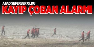 Erzurum'da işitme engelli çoban koyun sürüsüyle kayboldu