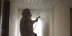 Böcek ailesini öldüren ihmal! İtiraf sonrası uzmanlar açıkladı