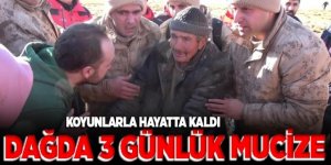 Erzurum'da Kayıp çoban koyunların arasına sığınarak hayatta kalmış