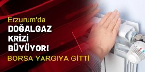 Erzurum'da doğalgaz krizi yargıya taşındı
