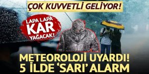 Meteoroloji'den 5 ilde 'sarı' alarm! Çok kuvvetli geliyor
