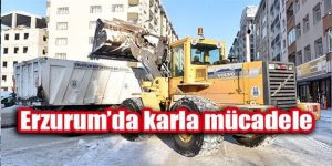 Tekman’da karla mücadele çalışmaları sürüyor