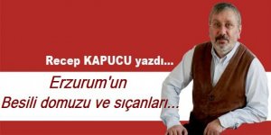 Erzurum'un besili domuzu ve sıçanları...