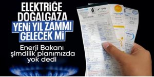 Doğal gaz ve elektriğe yeni yıl zammı gelecek mi?