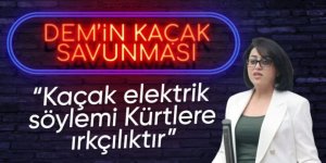 DEM Partili Bartın: Kimse kaçak elektrik kullanımı ile ırkçı manipülasyonlar yapmasın